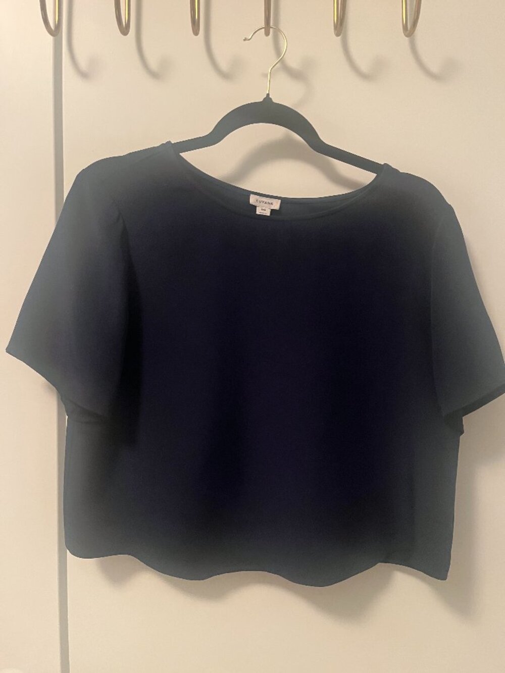 Cuyana Cropped Silk Tee